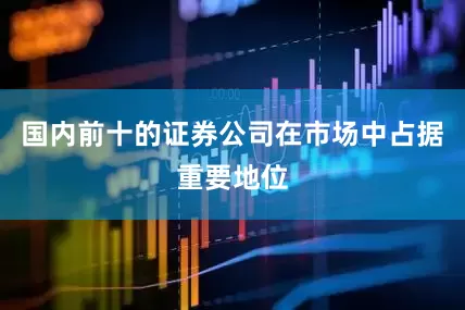 国内前十的证券公司在市场中占据重要地位