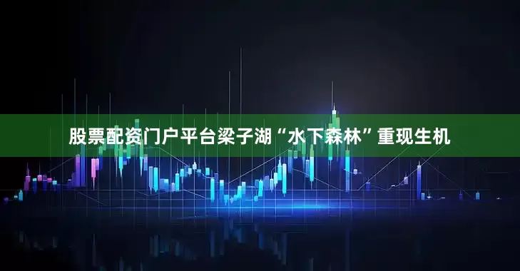 股票配资门户平台梁子湖“水下森林”重现生机